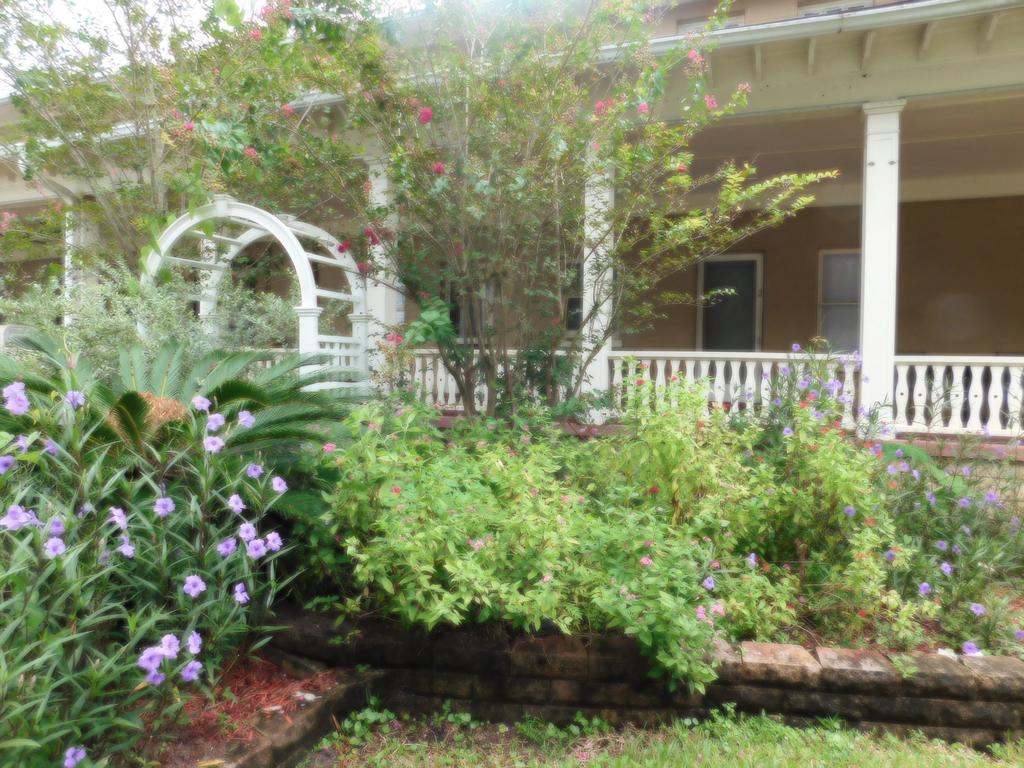 Cassadaga Hotel And Spiritual Center מראה חיצוני תמונה
