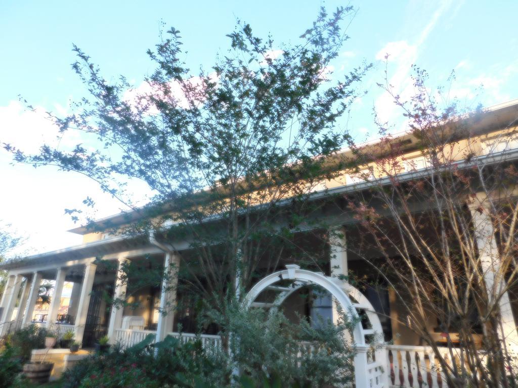 Cassadaga Hotel And Spiritual Center מראה חיצוני תמונה